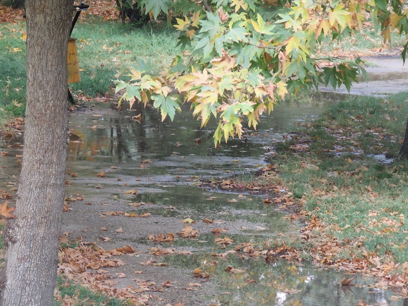 طبیعت پاییزی یاسوج زیبا