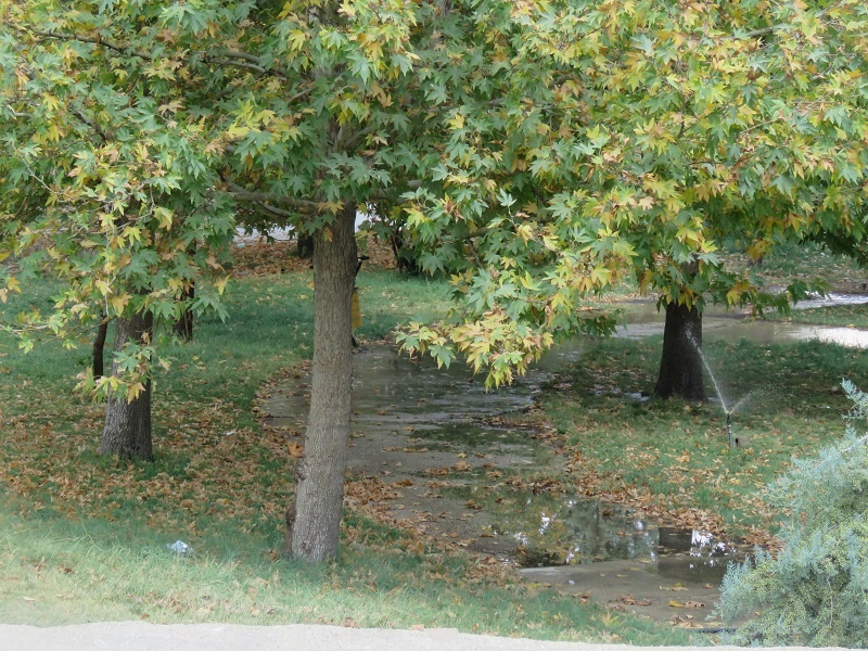 طبیعت پاییزی یاسوج زیبا