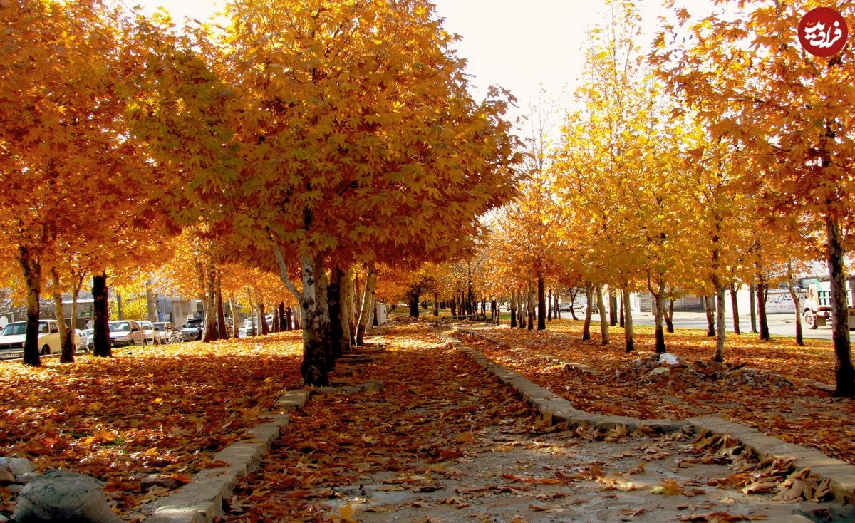 طبیعت پاییزی یاسوج زیبا