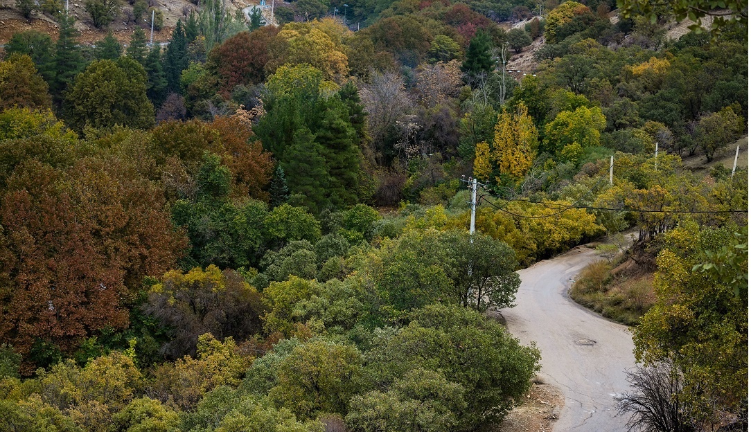 طبیعت پاییزی یاسوج زیبا