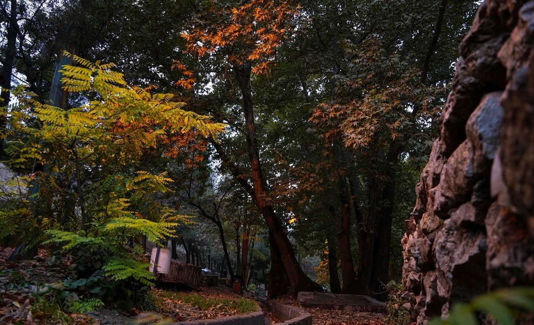 طبیعت پاییزی یاسوج زیبا