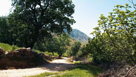 منطقه سادات حسینی دهدز طبیعتی بکر در دامنه منگشت