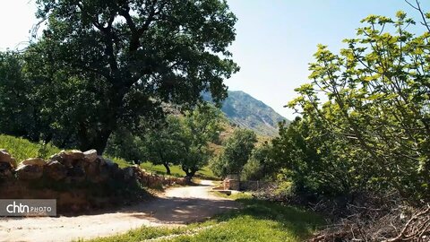 منطقه سادات حسینی دهدز طبیعتی بکر در دامنه منگشت