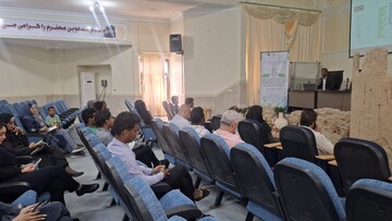 کارگاه آموزشی «آگاهی‌افزایی و ظرفیت‌سازی توسعه گردشگری حصیر در شهرستان میناب» برگزار شد