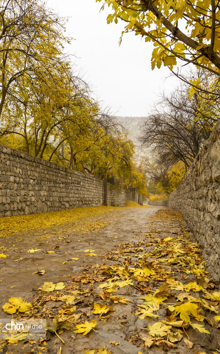 سومین جشنواره انار دزپارت در تنگه‌قاف برگزار می‌شود