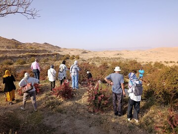 پیوند تمدن‌های کهن ایران و یونان در خراسان جنوبی/ گردشگران یونانی، شگفتی‌های شرق ایران را تجربه کردند