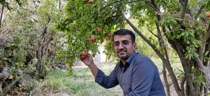 جشنواره انار در تنگه قاف؛ گامی در مسیر رونق گردشگری دزپارت