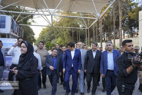 جشنواره نان