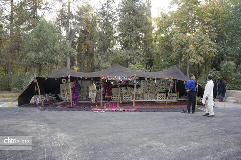 جشنواره نان