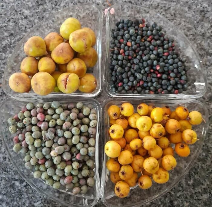 روستای مارسن گچساران