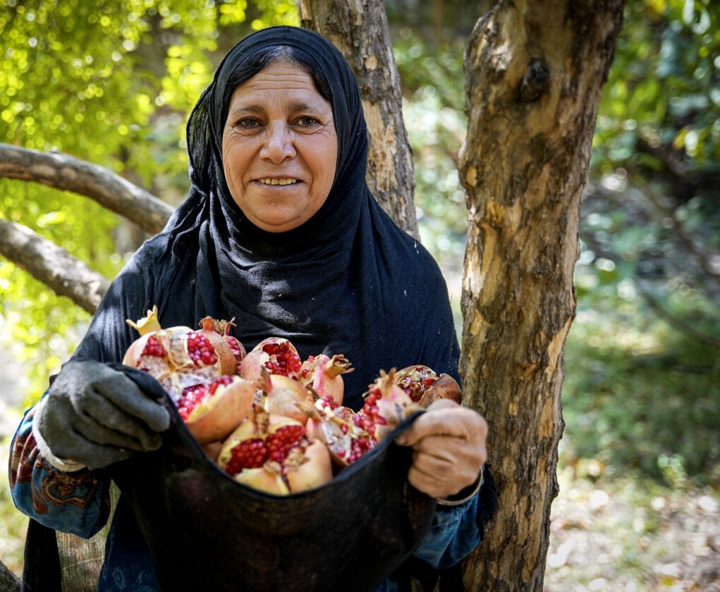 روستای مارسن گچساران