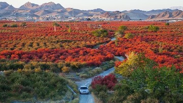 افین در کانون توجه گردشگران داخلی و خارجی
