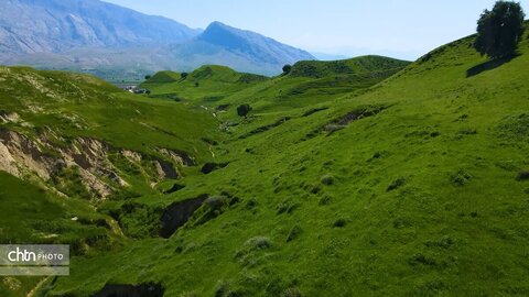 دشت سوسن ایذه