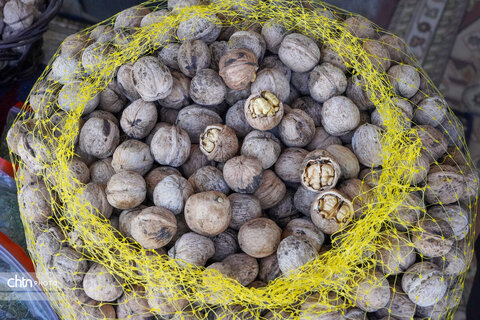 جشنواره مهر ورکانه؛ شکوه فرهنگ و گردشگری روستایی همدان