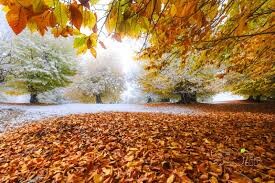 پاییز کم‌بارش و زمستان گرم در پیش است