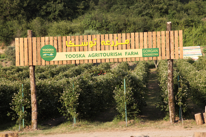 گلستان با بهره‌گیری از مزارع گردشگری در مسیر توسعه پایدار قرار دارد