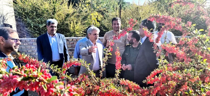 برگزاری جشنواره انار در روستای نیگ/ گردشگری در قاینات غرق در زرشک و انار