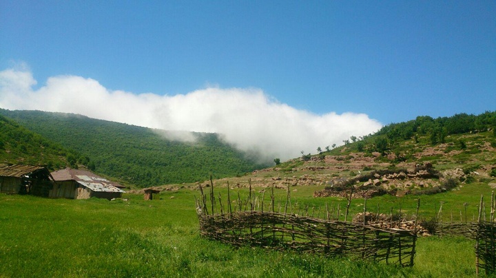 استان سمنان