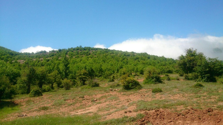 استان سمنان