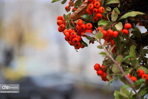 چشم انداز رویایی شهر سنندج در فصل پاییز
