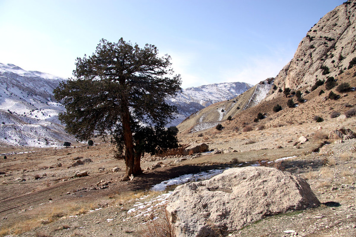 دامغان