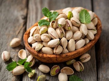 سومین جشنواره ملی تولید و صادرات پسته زرندیه آغاز بکار کرد