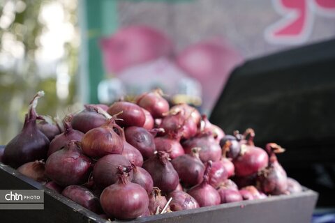 پیاز و گردو