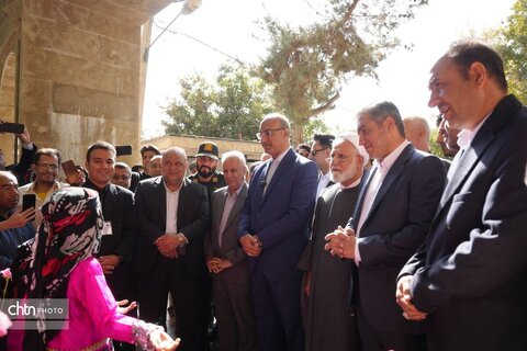 پیاز و گردو