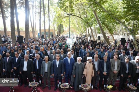 پیاز و گردو