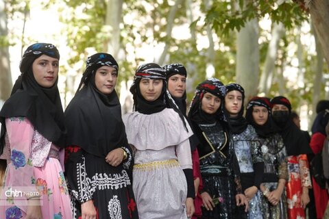 پیاز و گردو