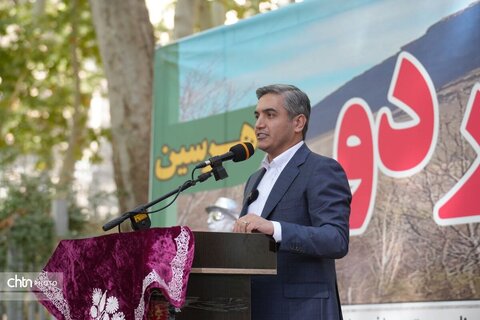 پیاز و گردو