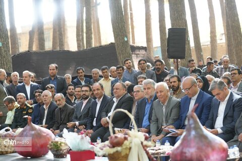 پیاز و گردو