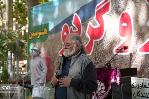 پیاز و گردو