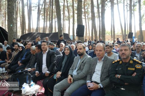 پیاز و گردو