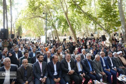 پیاز و گردو