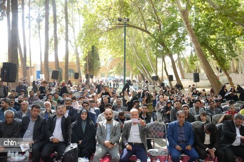 پیاز و گردو