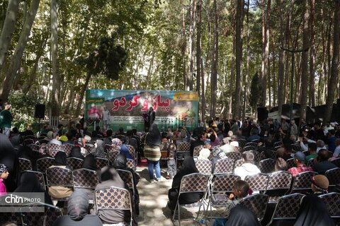 پیاز و گردو