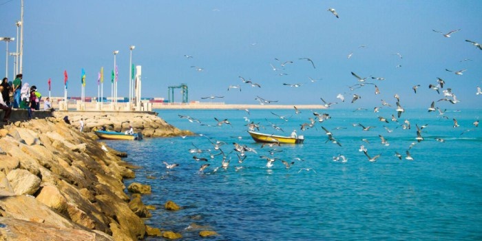 ضرورت شکل‌گیری زیرساخت‌های گردشگری آبی با رویکرد علمی و نظارت محیط‌زیست/ الگویی جهانی برای گردشگری مسئولانه در پهنه‌های آبی