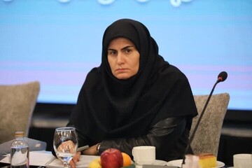 گردشگری ظرفیت مغفول استان زنجان در تعاملات منطقه‌ای است