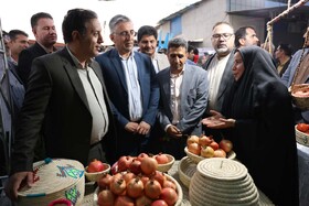 جشنواره انار بیشاپور؛ پیوند تاریخ ،طبیعت و فرهنگ