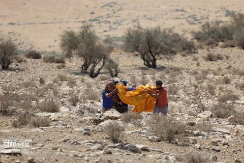 پاراگلایدینگ