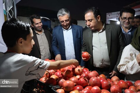 جشنواره انار بیشاپور