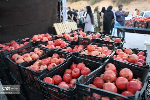 جشنواره انار بیشاپور