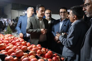 گردشگری کشاورزی یکی از محورهای سند گردشگری استان است