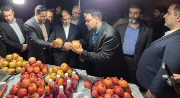 بازدید راهنمایان گردشگری استان یزد از جلوه‌های پاییزی و رسوم سنتی و میراث‌فرهنگی شهرستان تفت