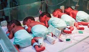 پرداخت ماهانه ۴.۴ میلیون تومان به خانواده‌های دارای چندقلو/ ارائه کمک هزینه «مراقب» به خانواده‌ها