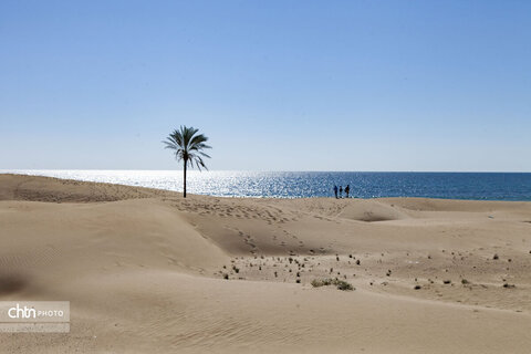 سواحل مکران؛ گنج پنهان گردشگری و توسعه پایدار در جنوب شرق ایران