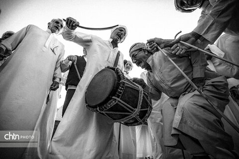 جزیره قشم؛ جزیره‌ای با حافظه زنده در صدا، تصویر و روایت