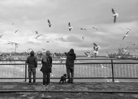 حدود ۸۰ میلیون گردشگر در سال وارد گیلان می‌شوند