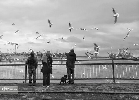 حدود ۸۰ میلیون گردشگر در سال وارد گیلان می‌شوند